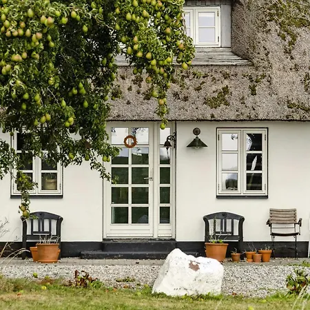 By The Bay A Thatched House Lies So Beautifully