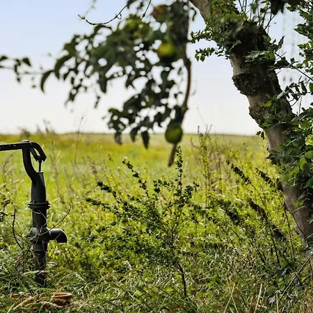 By The Bay A Thatched House Lies So Beautifully Prázdninový dům Fons