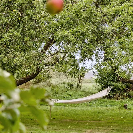 By The Bay A Thatched House Lies So Beautifully * Fons