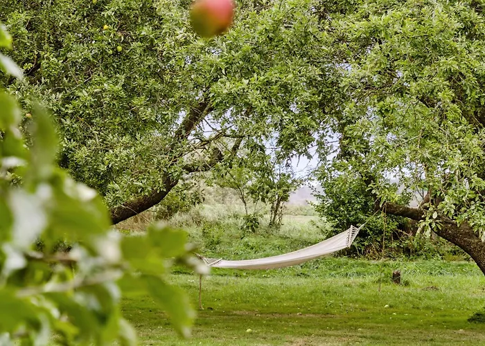By The Bay A Thatched House Lies So Beautifully
