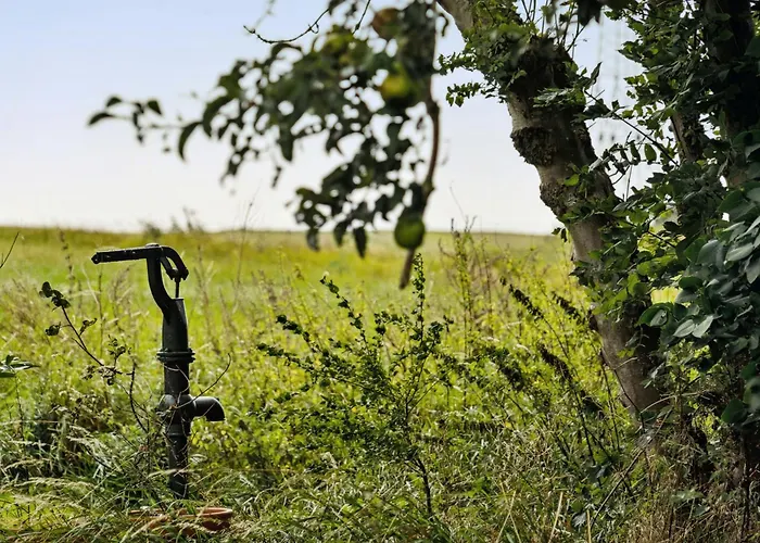 By The Bay A Thatched House Lies So Beautifully *